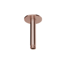 Herzbach LIVING SPA Deckenarm 100mm 70 rund Copper Steel