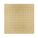 Herzbach DESIGN IX PVD Regenbrause square 250*250 mm Brass