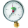 Watts Heizungsmanometer Anschluss unten d= 63mm, 3/8 , 0 - 4 bar