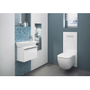 TECElux WC-Glasplatte für Dusch-WC Aquaclean Sela...