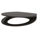 Delabie WC-Sitz Slim BCN schwarz Duroplast mit Deckel mit...