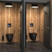 Delabie WC S21 S wandh. Anschluss von hinten Edelstahl matt schwarz