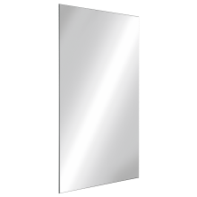 Delabie Spiegel bruchsicher 10x595x980 mm Edst. spiegelpol.