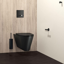Delabie WC-DrSp.T.MATIC duale Strg.UP mattschw.6V-Batt.Set2/2(+464PBOX)