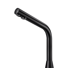 Delabie WT-Ventil BINOPTIC G3/8B matt schwarz H.250mm 6V-Batterien