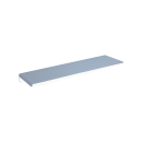 Delabie Ablage W.-Mont. 120x450mm Edelstahl hgl.pol.