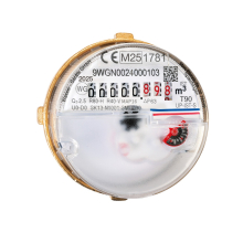 Wasserzähler Messkapsel Pollumuk  G2x1/4" MID Q3 2,5 Qn 1,5 inklusive Eichung