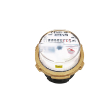 Wasserzähler Messkapsel Wassergeräte M66x1,25 MID Q3 2,5 Qn 1,5 inklusive Eichung