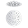 Beitz & Walz AqvaShower Kopfbrause 200 x 2 mm, Edelstahl-poliert