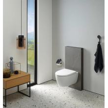 Geberit Monolith Sanitärmodul für Wand-WC 114 cm mit Anschlussstutzen, Wasseranschluss hinten mittig