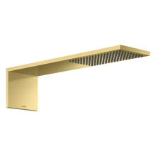 AXOR ShowerComposition Kopfbrausemodul 110/220 1jet, Brushed Brass