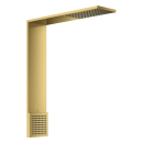 AXOR ShowerComposition Brausenmodul 110/220 1jet mit...