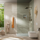 hansgrohe Pulsify S Stabhandbrause 100 1jet EcoSmart,...