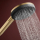 hansgrohe Raindance Alive Select S Handbrause 125 3jet, Brushed Bronze