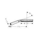 hansgrohe Raindance Alive Select S Handbrause 125 3jet...