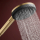 hansgrohe Raindance Alive Select S Handbrause 125 3jet EcoSmart+, Brushed Bronze