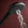 hansgrohe Raindance Alive Select S Handbrause 125 3jet EcoSmart+, Mattschwarz