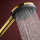 hansgrohe Raindance Alive Select S Handbrause 125 3jet EcoSmart+, Polished Gold Optic