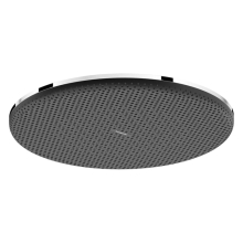 hansgrohe Raindance Alive S Kopfbrause 300 1jet, Chrom