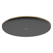 hansgrohe Raindance Alive S Kopfbrause 300 1jet, Brushed Bronze