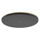 hansgrohe Raindance Alive S Kopfbrause 300 1jet, Brushed...
