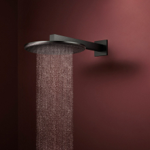 hansgrohe Raindance Alive S Kopfbrause 300 1jet, Brushed Black Chrome
