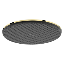 hansgrohe Raindance Alive S Kopfbrause 300 1jet, Polished Gold Optic