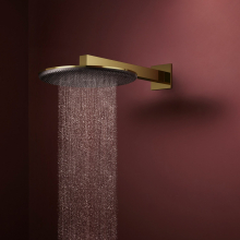 hansgrohe Raindance Alive S Kopfbrause 300 1jet, Polished Gold Optic