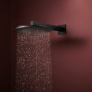 hansgrohe Raindance Alive S Kopfbrause 300 1jet EcoSmart,...