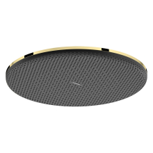 hansgrohe Raindance Alive S Kopfbrause 300 1jet EcoSmart, Polished Gold Optic