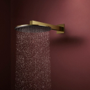 hansgrohe Raindance Alive S Kopfbrause 300 1jet EcoSmart,...