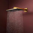 hansgrohe Raindance Alive Q Kopfbrause 210/340 1jet,...