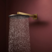 hansgrohe Raindance Alive S Kopfbrause 300 2jet mit Brausearm, Brushed Bronze