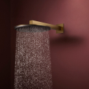 hansgrohe Raindance Alive S Kopfbrause 300 2jet mit...