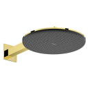 hansgrohe Raindance Alive S Kopfbrause 300 2jet mit...