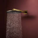 hansgrohe Raindance Alive S Kopfbrause 300 2jet mit...