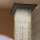 hansgrohe Raindance Alive Q Kopfbrause 210/340 2jet mit Brausearm, Brushed Bronze