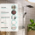 hansgrohe Raindance Alive Q Showerpipe 210/340 1jet mit ShowerSelect Comfort, Mattweiß
