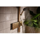 hansgrohe Raindance Alive Q Showerpipe 210/340 2jet mit...