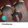 hansgrohe Raindance Alive S Puro Showerpipe 300 1jet mit Ecostat Element, Polished Gold Optic