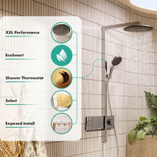 hansgrohe Raindance Alive S Showerpipe 300 2jet EcoSmart mit ShowerSelect Comfort, Polished Gold Optic
