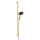 hansgrohe Raindance Alive Select S Brauseset 125 3jet EcoSmart mit Brausestange Unica E Puro 90 cm und Easy Slide Brausehalter, Polished Gold Optic
