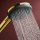 hansgrohe Raindance Alive Select S Brausehalterset 125 3jet EcoSmart mit Designflex Textilbrauseschlauch 160 cm, Polished Gold Optic