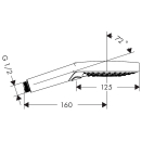 hansgrohe Raindance Select S Handbrause 120 3jet...