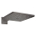 hansgrohe Raindance E Kopfbrause 300 1jet mit Brausearm, Brushed Black Chrome