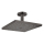 hansgrohe Raindance E Kopfbrause 300 1jet mit Deckenanschluss, Brushed Black Chrome