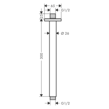 hansgrohe Vernis Shape Deckenanschluss 30 cm, Mattschwarz