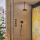 hansgrohe Rainfinity Handbrause 130 3jet EcoSmart+, Polished Gold Optic