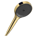 hansgrohe Rainfinity Handbrause 130 3jet, Polished Gold...