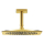 AXOR Citterio C Kopfbrause 270/270 1jet mit Deckenanschluss, Polished Gold Optic
